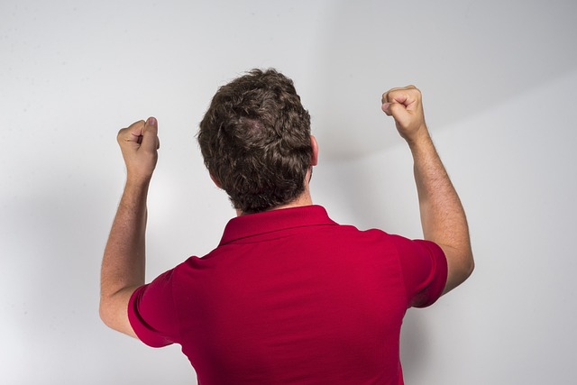 的整体表现 的整体表现