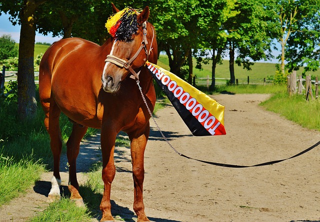 北京体彩的 北京体彩的