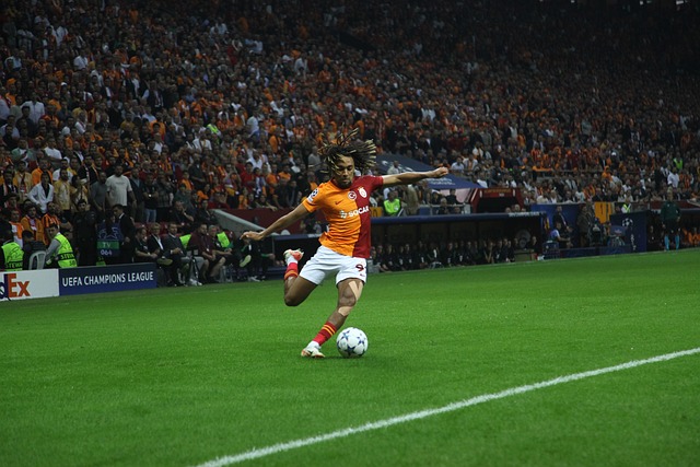 会公众的自 会公众的自