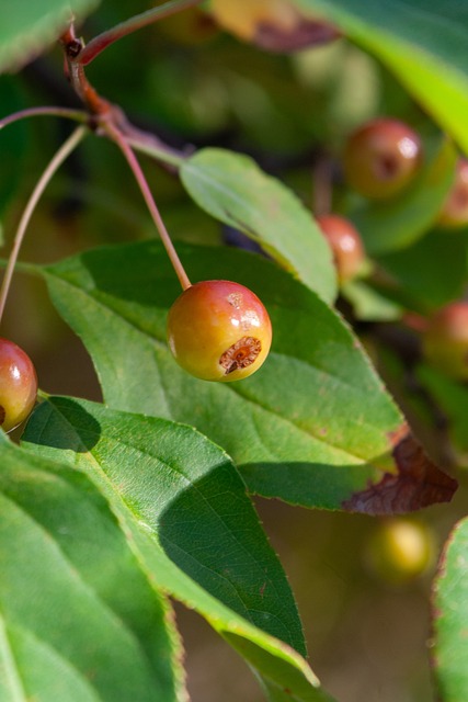 的良好契机 的良好契机