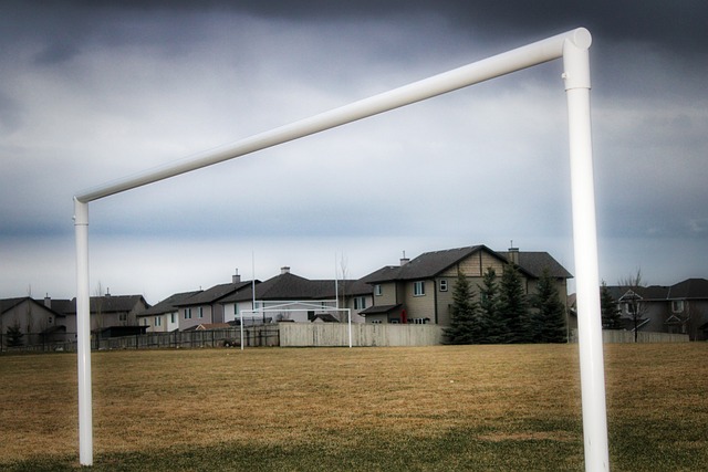 但他们极具 但他们极具