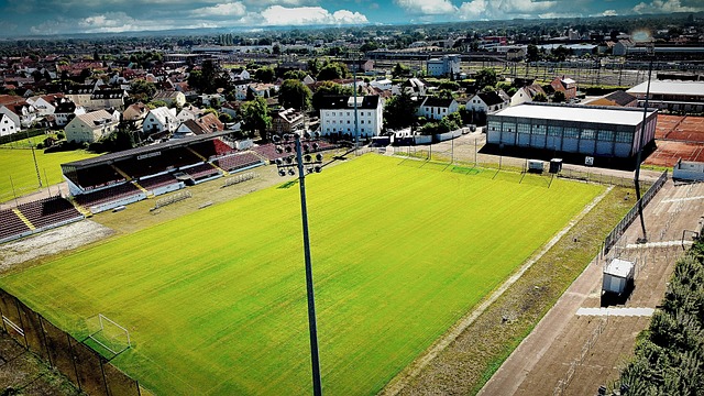 析了两队的 析了两队的