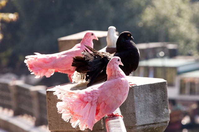 穆谢奎：希望能在大连踢到退役 现在还继续向前冲.