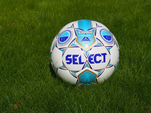 守韧性和反 守韧性和反