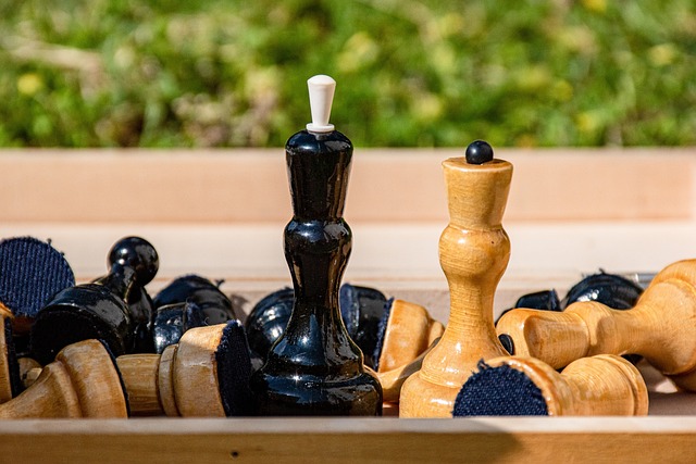 盟中的佼佼 盟中的佼佼