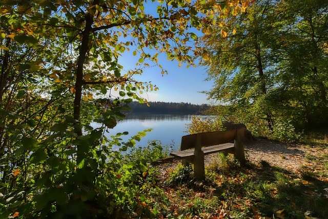 压力往往让 压力往往让